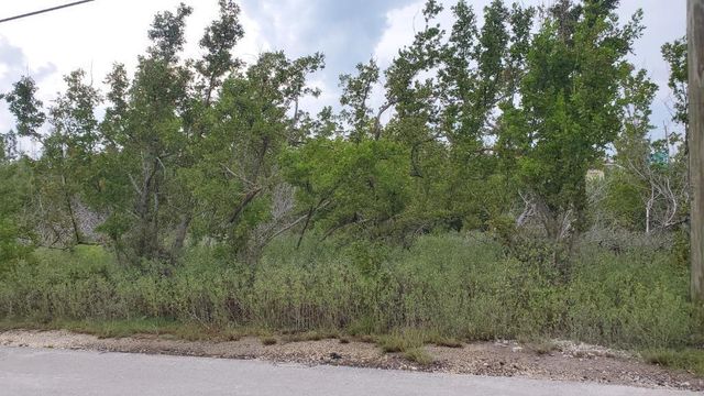 Calle Limon, Lot 25, Marathon, FL 33050