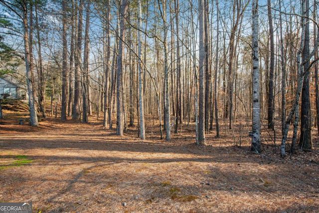 132 Churchcliff Drive, Woodstock, GA 30188