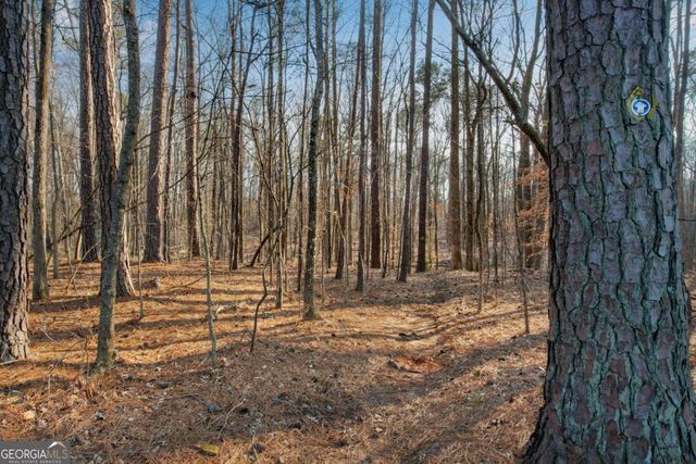 132 Churchcliff Drive, Woodstock, GA 30188