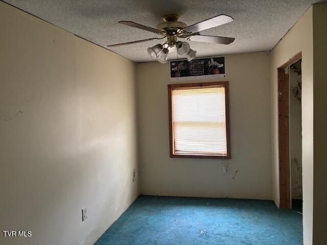 324 Jess Hopson Road, Unicoi, TN 37692