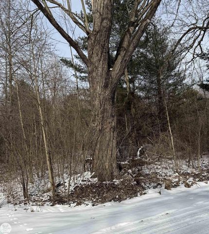 0 Genaw Road, Cottrellville Twp, MI 48039