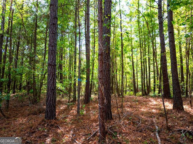 661 Hugh O Neal Road, Greenville, GA 30222