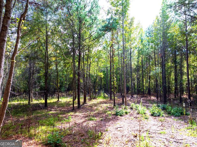 661 Hugh O Neal Road, Greenville, GA 30222