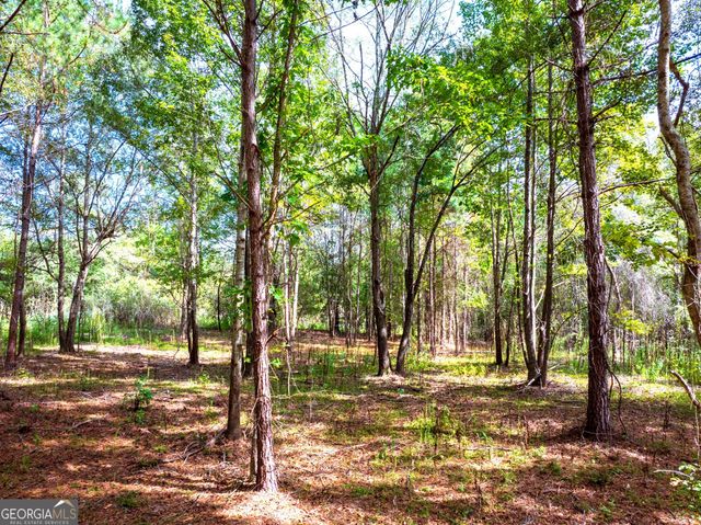 661 Hugh O Neal Road, Greenville, GA 30222