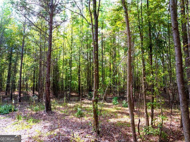 661 Hugh O Neal Road, Greenville, GA 30222