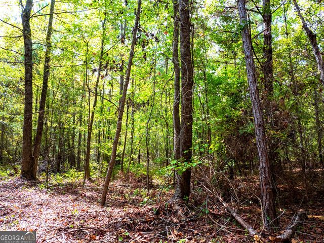 661 Hugh O Neal Road, Greenville, GA 30222