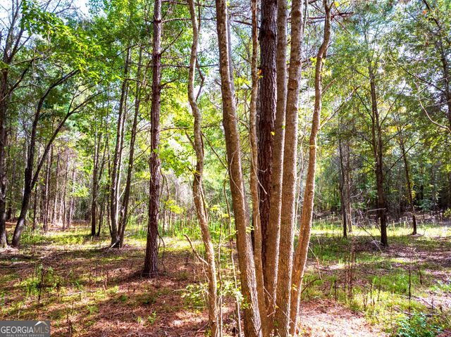 661 Hugh O Neal Road, Greenville, GA 30222