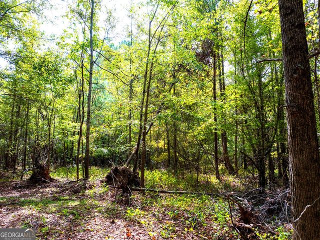 661 Hugh O Neal Road, Greenville, GA 30222