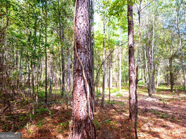 661 Hugh O Neal Road, Greenville, GA 30222