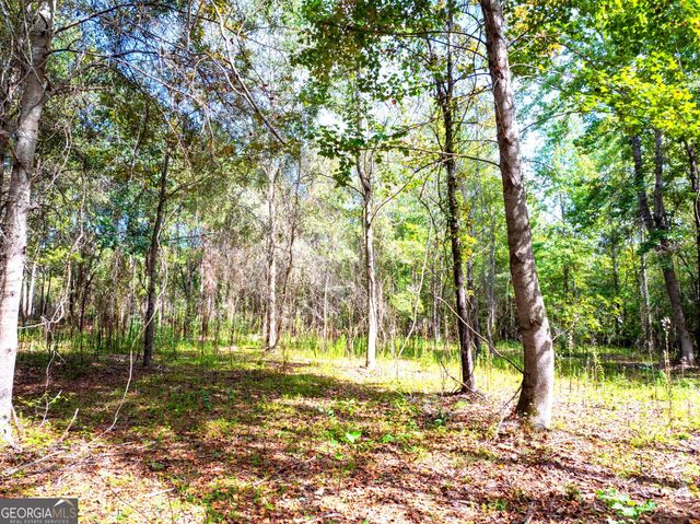 661 Hugh O Neal Road, Greenville, GA 30222