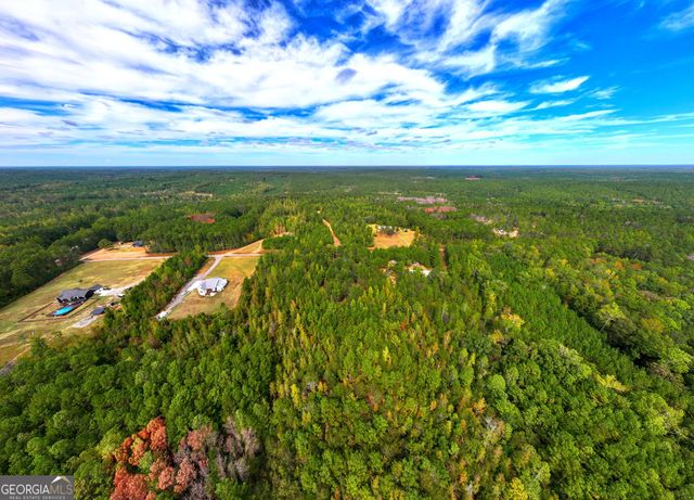 661 Hugh O Neal Road, Greenville, GA 30222