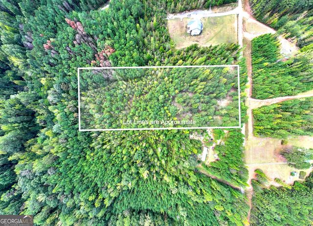 661 Hugh O Neal Road, Greenville, GA 30222