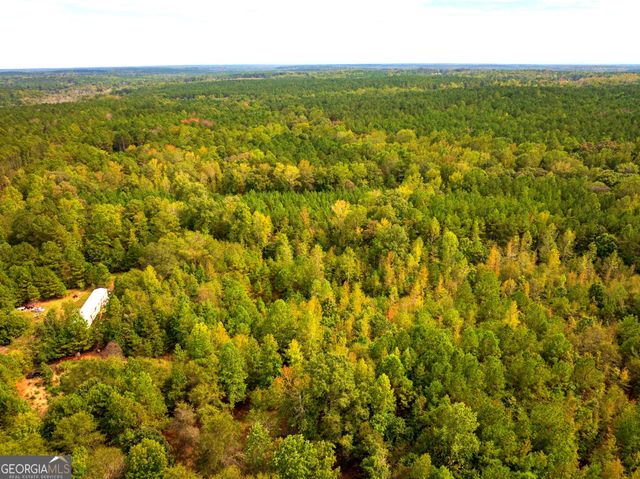 661 Hugh O Neal Road, Greenville, GA 30222