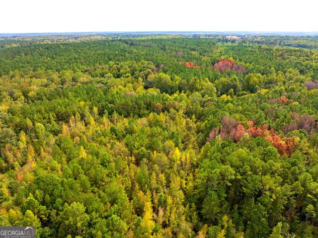 661 Hugh O Neal Road, Greenville, GA 30222