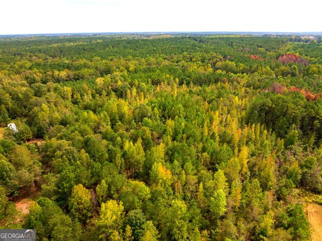 661 Hugh O Neal Road, Greenville, GA 30222