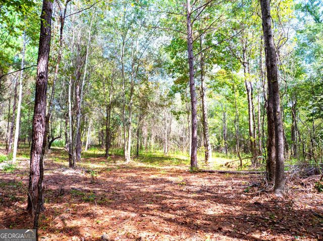 661 Hugh O Neal Road, Greenville, GA 30222