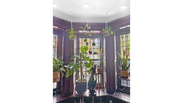 916 PUTNAM Avenue, New York City, NY 11221