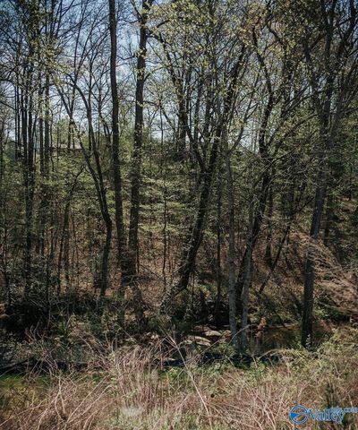 534 SW Wolf Trace, Hartselle, AL 35640