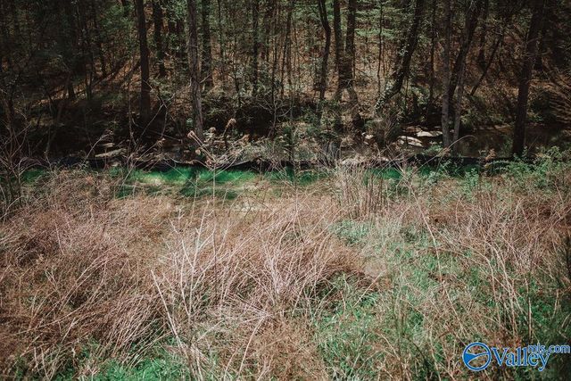 534 SW Wolf Trace, Hartselle, AL 35640