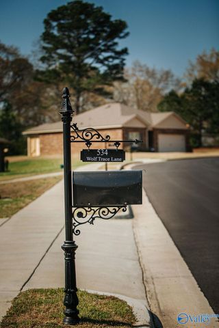 534 SW Wolf Trace, Hartselle, AL 35640