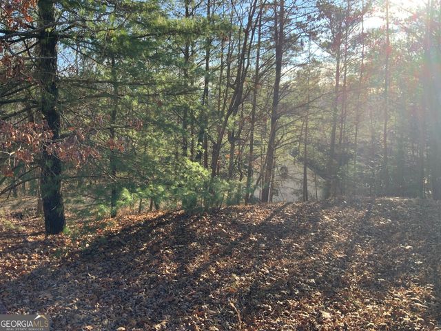 54 Four Seasons Landing, Blairsville, GA 30512