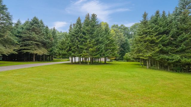 8655 Wildcat Run Drive NE, Rockford, MI 49341