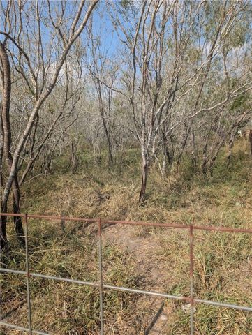 4901 Amber Road, Robstown, TX 78380