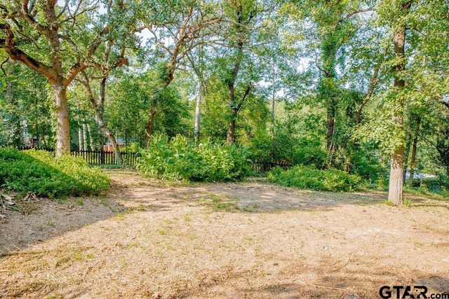 439 N Lone Star LN, Hideaway, TX 75771