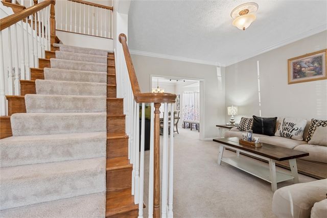 505 Westberry Dr, Allegheny Twp, PA 15068