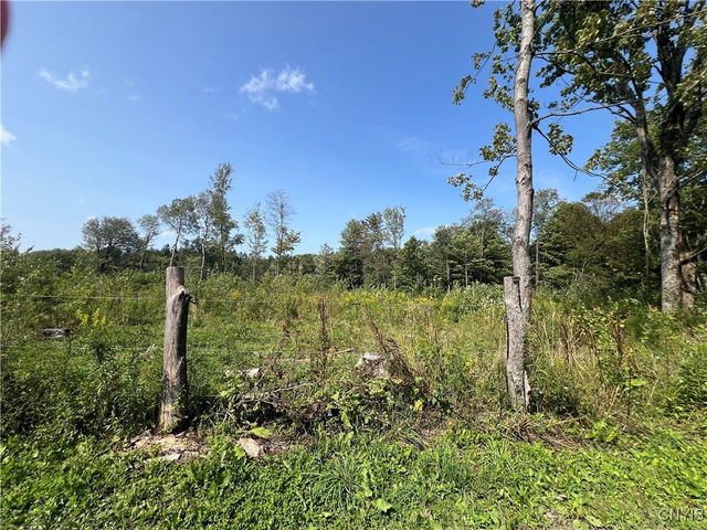 1467 Lick Street, Summerhill, NY 13118