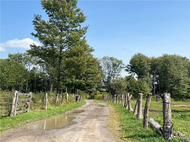 1467 Lick Street, Summerhill, NY 13118