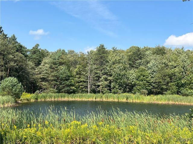 1467 Lick Street, Summerhill, NY 13118