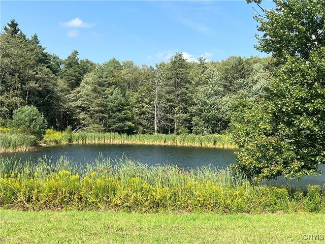 1467 Lick Street, Summerhill, NY 13118