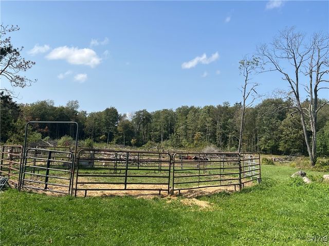 1467 Lick Street, Summerhill, NY 13118