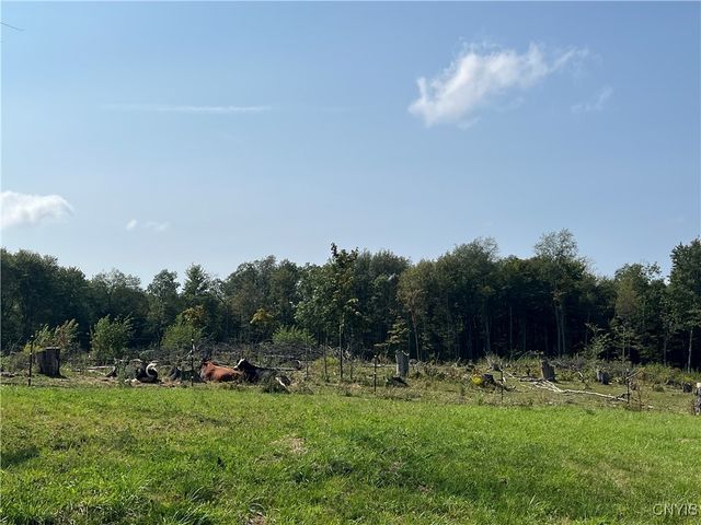 1467 Lick Street, Summerhill, NY 13118