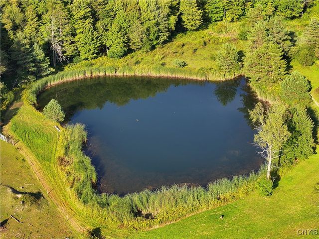 1467 Lick Street, Summerhill, NY 13118