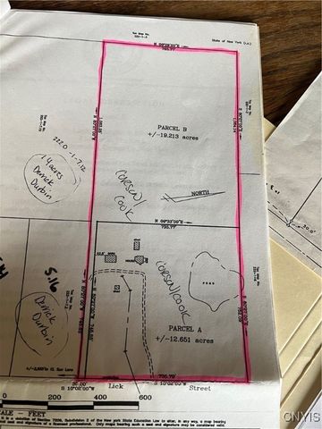 1467 Lick Street, Summerhill, NY 13118