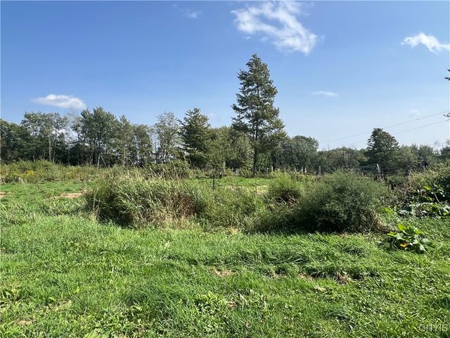 1467 Lick Street, Summerhill, NY 13118