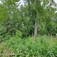 B3 Lot 1 S Jefferson Street, Freedom Hills Sub, Talkeetna, AK 99676