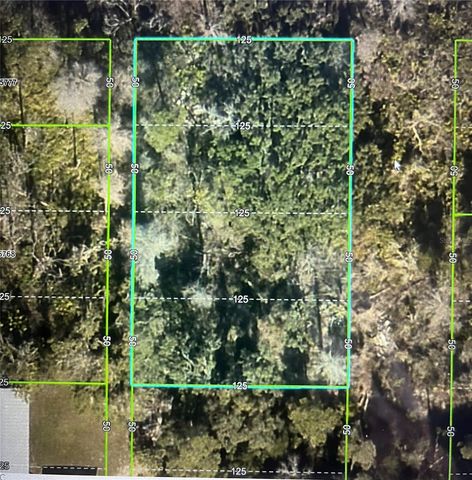 LAS PALMAS AVENUE, Spring Hill, FL 34606