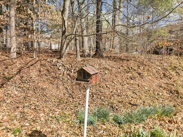 321 Kimsey Street, Blairsville, GA 30512