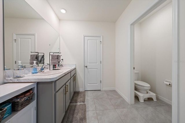 16176 SOFT FERN TRACE, Odessa, FL 33556