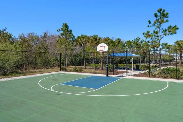 16176 SOFT FERN TRACE, Odessa, FL 33556