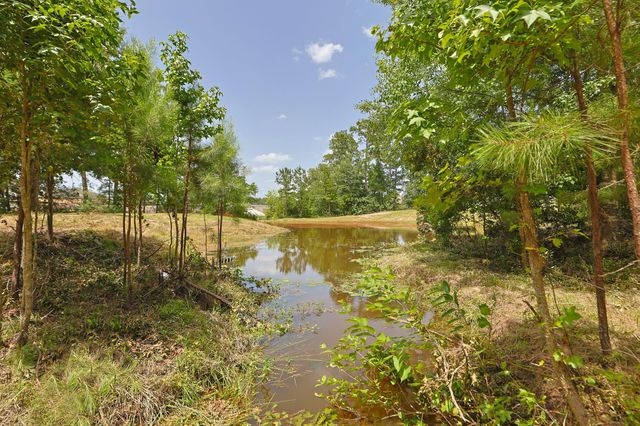 7420 Jackson Road, Montgomery, TX 77316