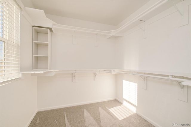 17466 Bluetrail Avenue, Parker, CO 80134