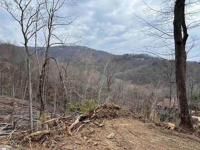 39 Panther Park Trail, Travelers Rest, SC 29690