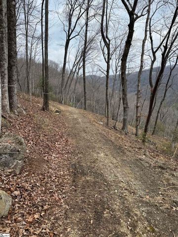 39 Panther Park Trail, Travelers Rest, SC 29690