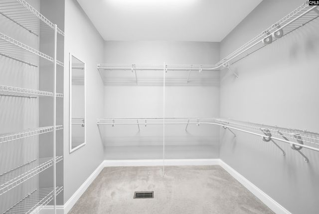 2 HILTON GLEN COURT, Chapin, SC 29036
