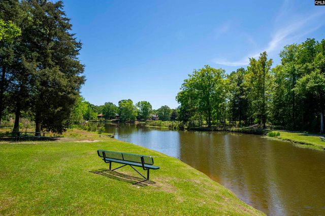 2 HILTON GLEN COURT, Chapin, SC 29036