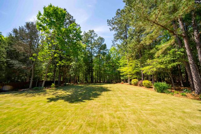 2 HILTON GLEN COURT, Chapin, SC 29036